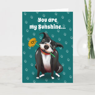 Pour Fêtes Annuelles Des cartes de voeux de Valentine de chien   vous