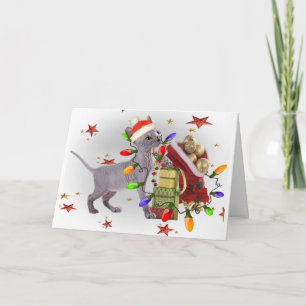 Pour Fêtes Annuelles Jeux de chaton de Sphynx avec des cartes
