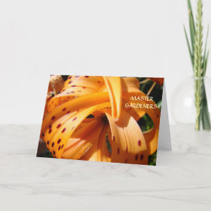 Pour Fêtes Annuelles MASTER JARDINIERS Cartes de monde magnifiques