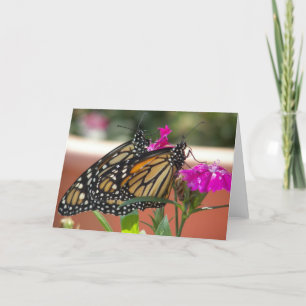 Pour Fêtes Annuelles Monarch Twins #1 Cartes de voeux