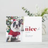 Pour Fêtes Annuelles Niceish Funny Chien Cartes de Noël (Debout devant)
