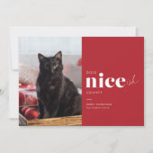 Pour Fêtes Annuelles Niceish FunnyCat Cartes de Noël (Devant)