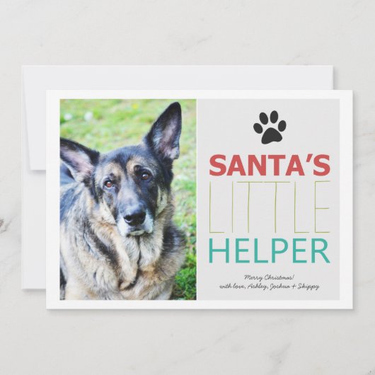 Pour Fêtes Annuelles Père Noël Helper - Pet Photo Vacances Cartes Plat (Devant)