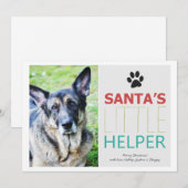 Pour Fêtes Annuelles Père Noël Helper - Pet Photo Vacances Cartes Plat (Devant / Derrière)