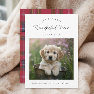 Pour Fêtes Annuelles Plaid Funny Dog Log Cartes de Noël