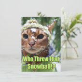 Pour Fêtes Annuelles Qui a jeté ce Snowball ! ? Cartes plates - boîte (Debout devant)