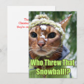 Pour Fêtes Annuelles Qui a jeté ce Snowball ! ? Cartes plates - boîte (Devant / Derrière)
