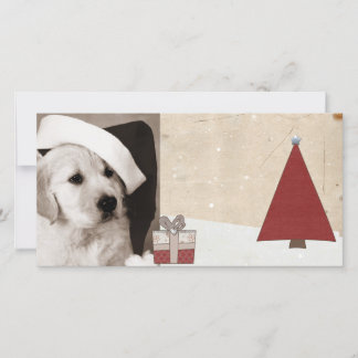 Pour Fêtes Annuelles salutation de saison Noël cartes photos d'animaux