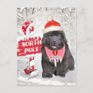 Pour Fêtes Annuelles Terre-Neuve-et-Labrador aime les cartes Père Noël