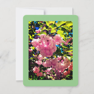 Pour Fêtes Annuelles Toutes les cartes d'occasion, taille : 4,25 po x 5