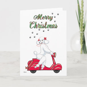 Pour Fêtes Annuelles Un caniche blanc sur les cartes de Noël du Scooter