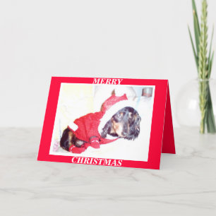 POUR FÊTES ANNUELLES X MAS CARTES DE NOËL - PUP HEIDI - DASCHUND MINI