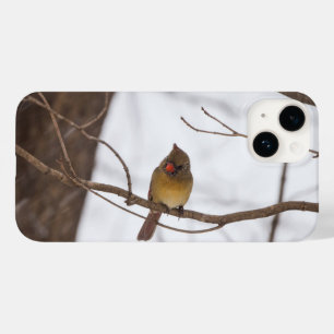 Pour iPhone 14 La Neige Dit À Nouveau Mme Le Cardinal coque iphon