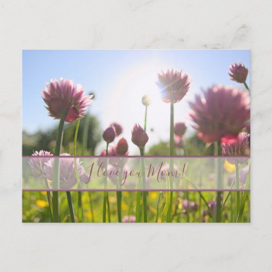 Pour la meilleure maman du monde ! carte postale (Devant)