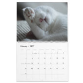 Pour L'Amour Des Chats Calendrier (Feb 2027)