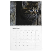 Pour L'Amour Des Chats Calendrier (Mar 2027)