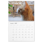 Pour L'Amour Des Chats Calendrier (Jan 2027)