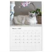 Pour l'amour des chats - Calendrier photo personna (Feb 2026)