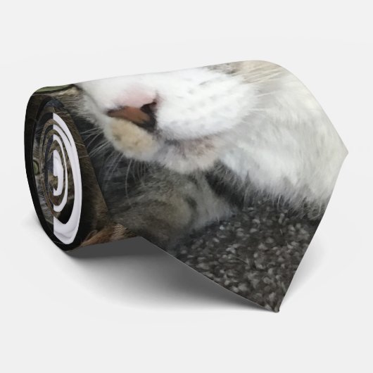 Pour l'amour des chats Cravate (Roulé)