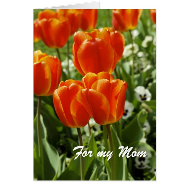 Pour ma carte de maman (Devant)