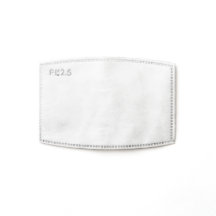 Filtres de masques de visage PM 2,5