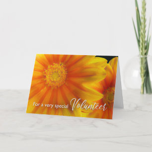 Pour Merci volontaire Gazania Flowers