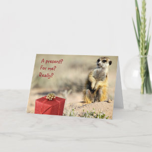 Pour moi ? - Une carte de Noël de KMP