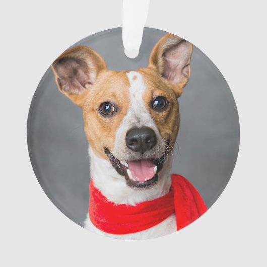 Pour toujours dans nos coeurs Custom Pet Photo Kee (devant)