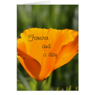 Pour toujours et un jour