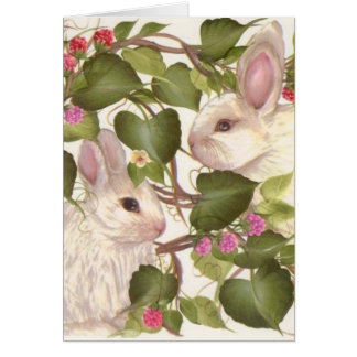 Pour toujours lapins