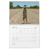 Pour toujours légendes - calendrier (Feb 2027)