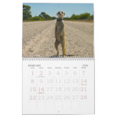 Pour toujours légendes - calendrier (Feb 2026)