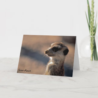 Pour toujours Mozart ! Carte de voeux