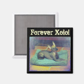 Pour toujours Xolo ! Magnet (Recto/Verso)