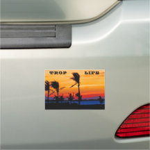 Magnet de voitures Florida Sunrise