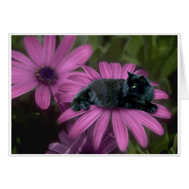 Pourcentage (Devant horizontal)