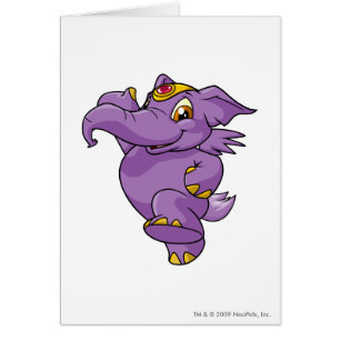 Pourpre d'Elephante