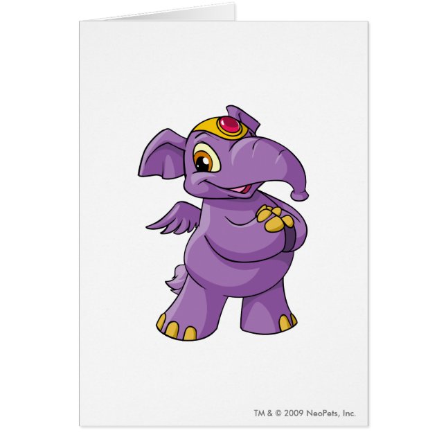 Pourpre d'Elephante (Devant)