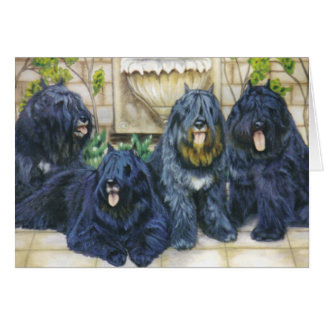 "Pourpre, sirène, Patou et comte "