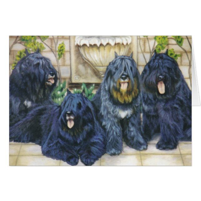 "Pourpre, sirène, Patou et comte " (Devant horizontal)