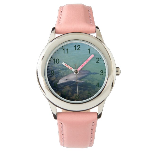 Pourquoi Bonjour M. Dolphin, Montre En Cuir Pour E (devant)