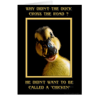 Pourquoi le canard n'a pas traversé la route