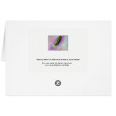 Pourquoi le long visage - carte Greyhound (Dos Horizontal)