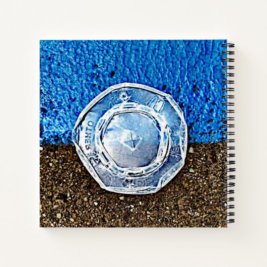 Pourquoi pas le Carnet (Dos)