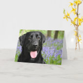 Poursuivez dans la carte de voeux de jacinthes des (Fleur jaune)