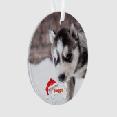 Poursuivez mon premier os de chien de nom de photo (devant)