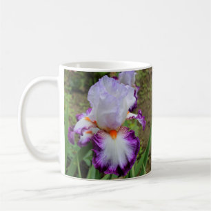 Poussée, Lavande et Mug d'Iris blanc