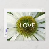 Poussière D'AMOUR Fleur Blanche. Carte postale (Devant / Derrière)