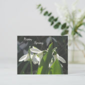 Poussière De Neige. Carte postale texte (Debout devant)