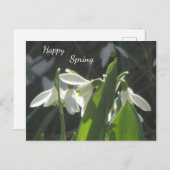 Poussière De Neige. Carte postale texte (Devant / Derrière)